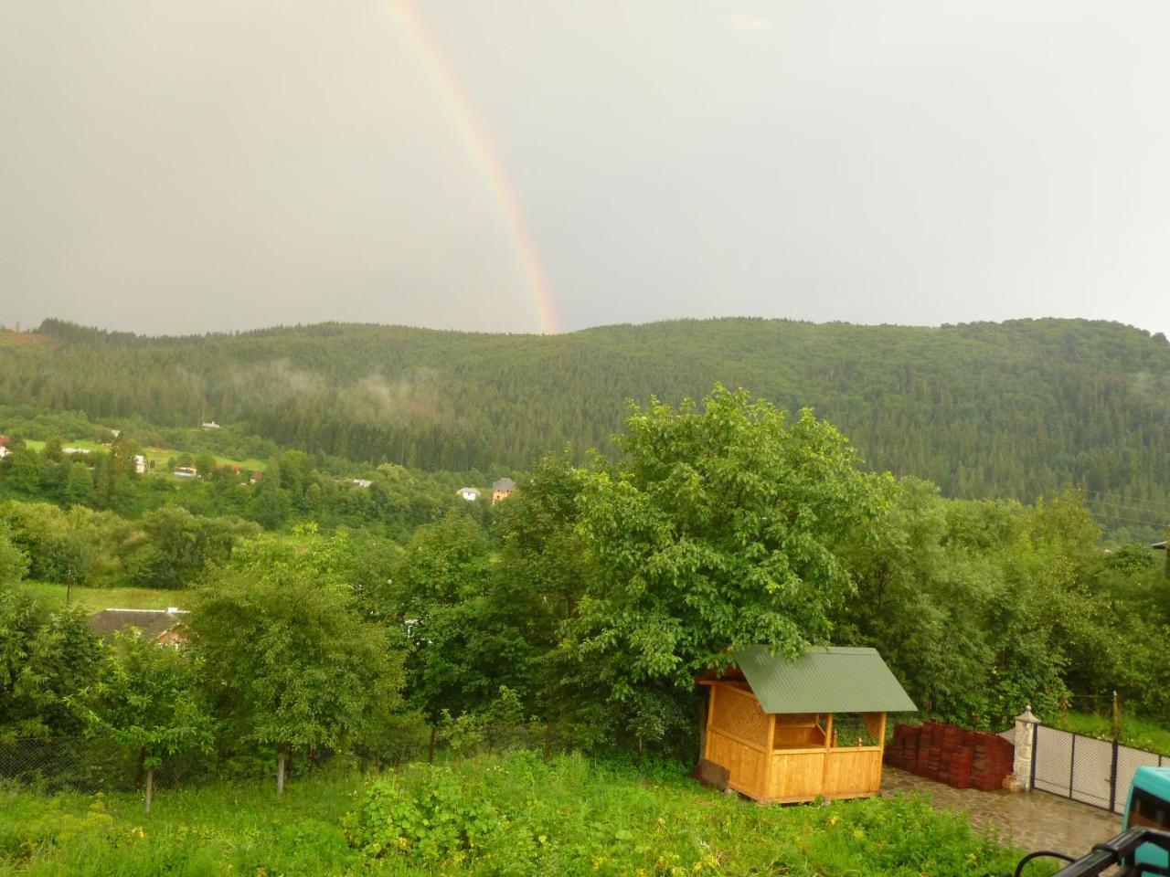 Лелека Pension Dilyatyn Buitenkant foto